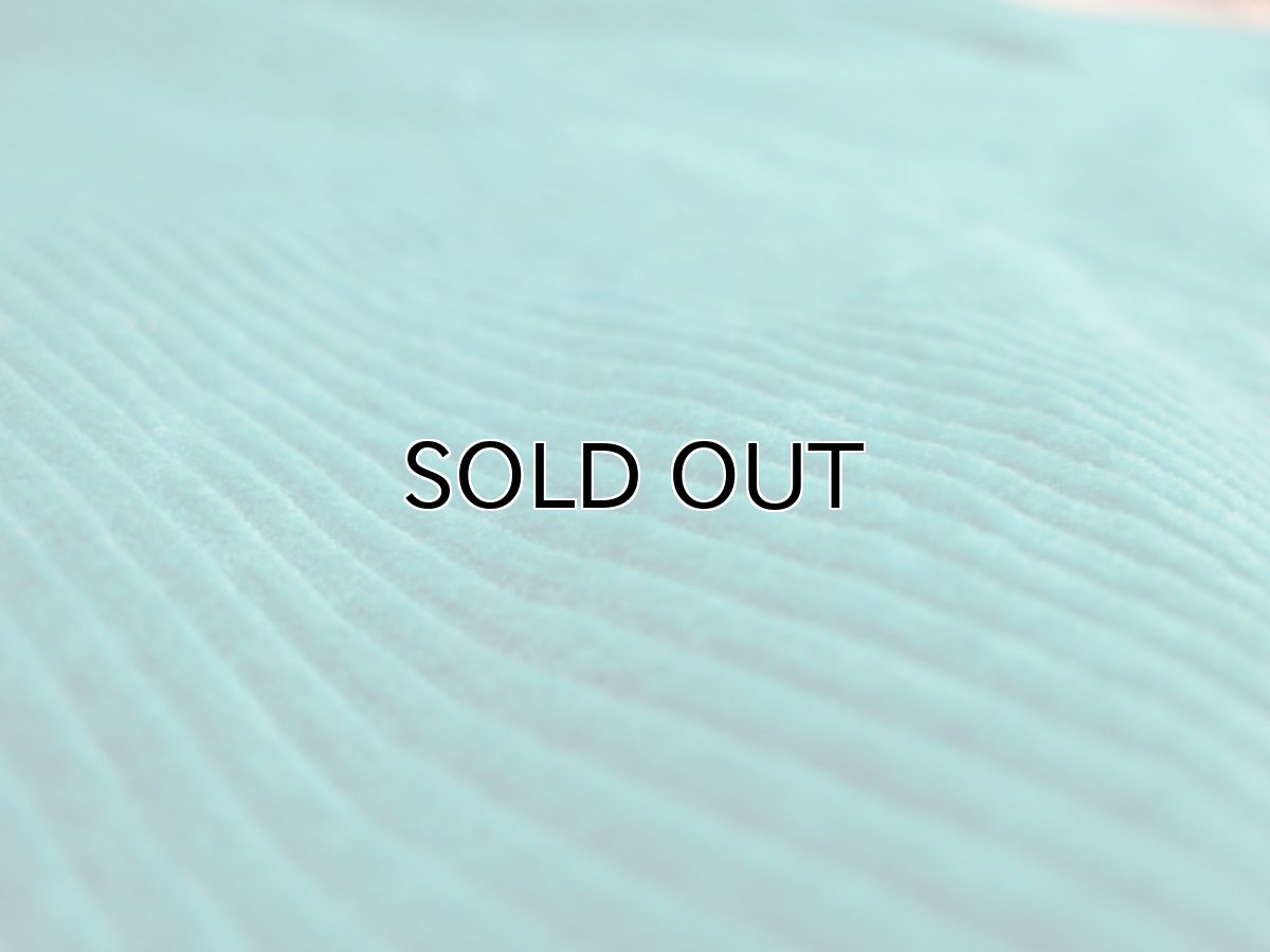 画像4: "OCEAN PACIFIC" CORDUROY SHORTS "GREEN"　size w 34~38.5inch (表記 38) (4)