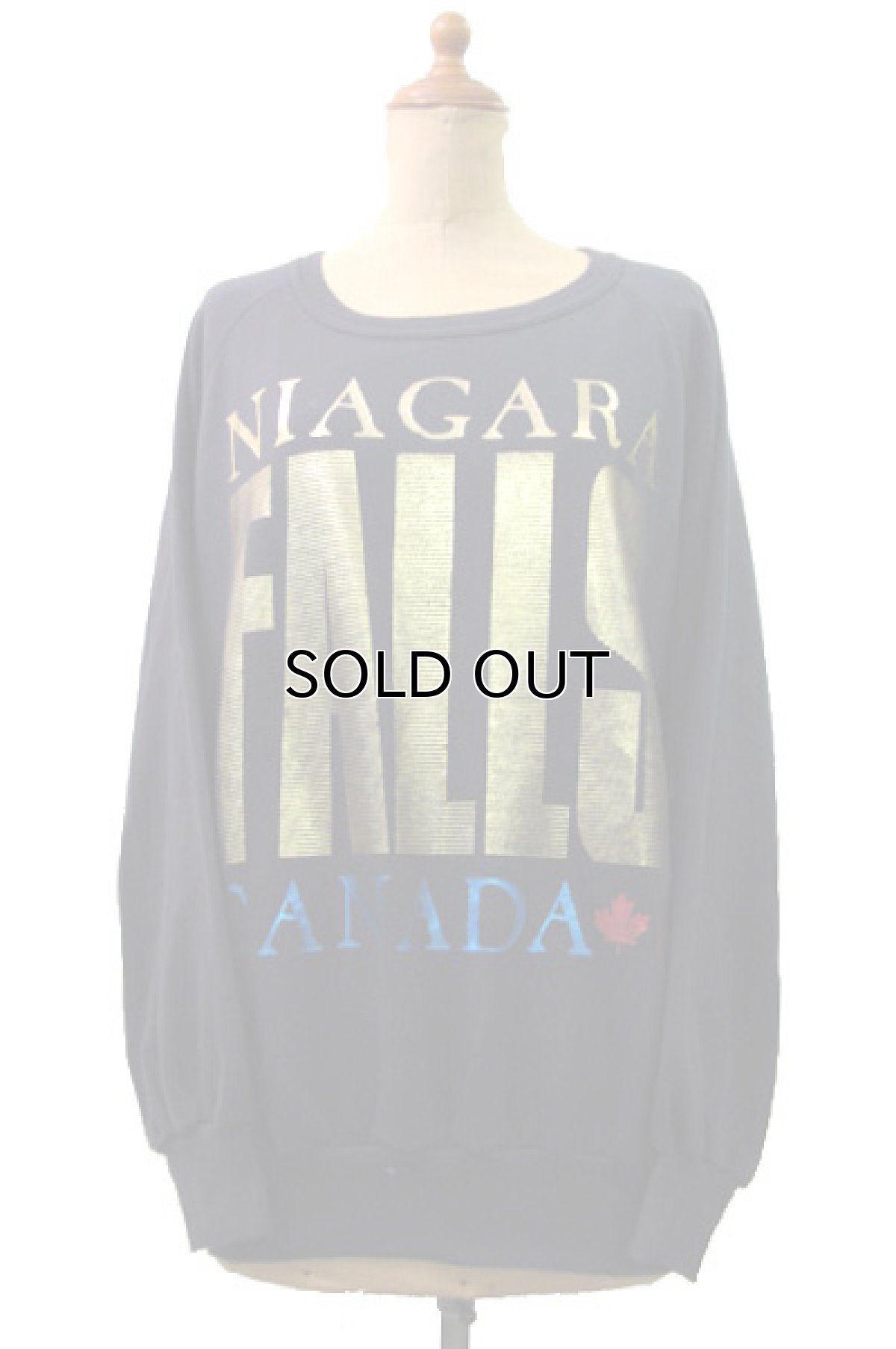 画像1: 1990's "NIAGARA FALLS" Crew Neck Light Wait Sweat Shirts　size M - L位 (表記 L) (1)