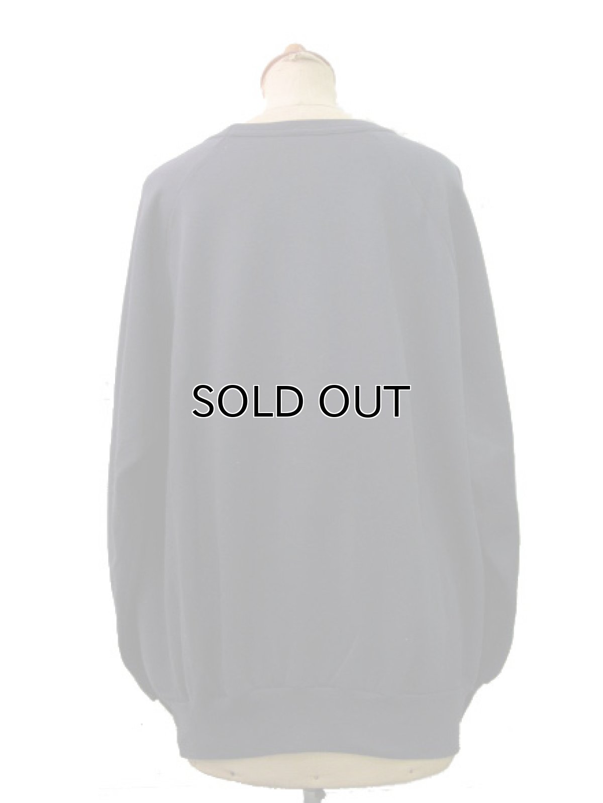 画像3: 1990's "NIAGARA FALLS" Crew Neck Light Wait Sweat Shirts　size M - L位 (表記 L) (3)