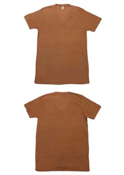 画像1: "alternative apparel" Eco Heather V-neck T-shirts　ECO TRUE-RUST　size XS / S / M / L / XL