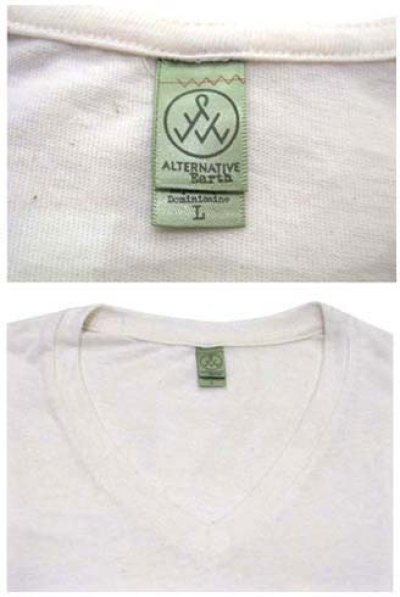 画像2: "alternative apparel" Eco Heather V-neck T-shirts　ECO OATMEAL　size XS / S / M / L / XL