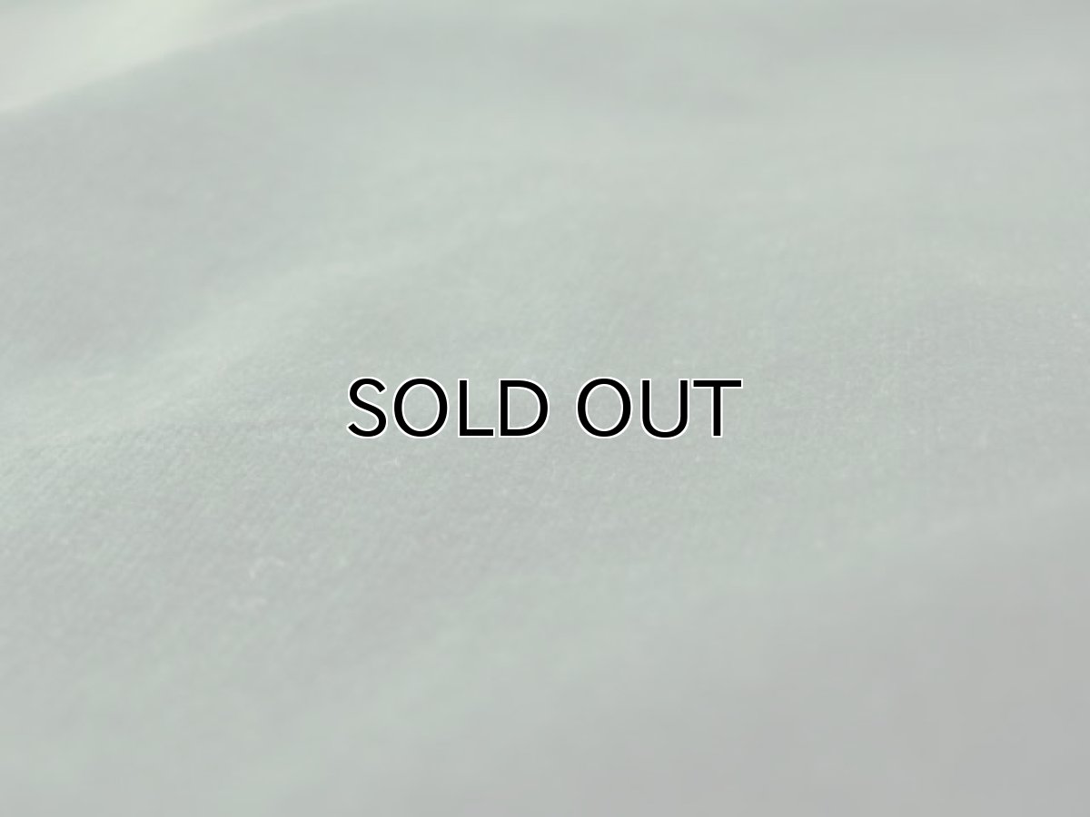 画像5: OLD Europe Velvet Cape color : GREEN size Free (表記 なし) (5)