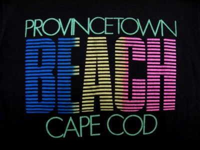 画像1: 1990's "Fruit of the Room" Neon Color Print T-Shirts　BLACK　size L (表記 L)