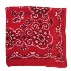 画像3: OLD BANDANNA  "Paisley"　RED  59 cm x 59 cm (3)