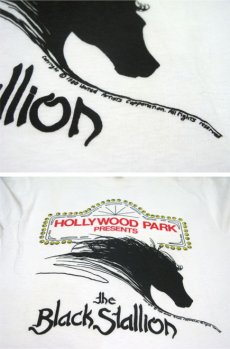 画像5: 1980's "the Black Stallion" Crew Neck Print T-Shirts -made in USA-　WHITE　size M - L (表記 L 42-44) (5)