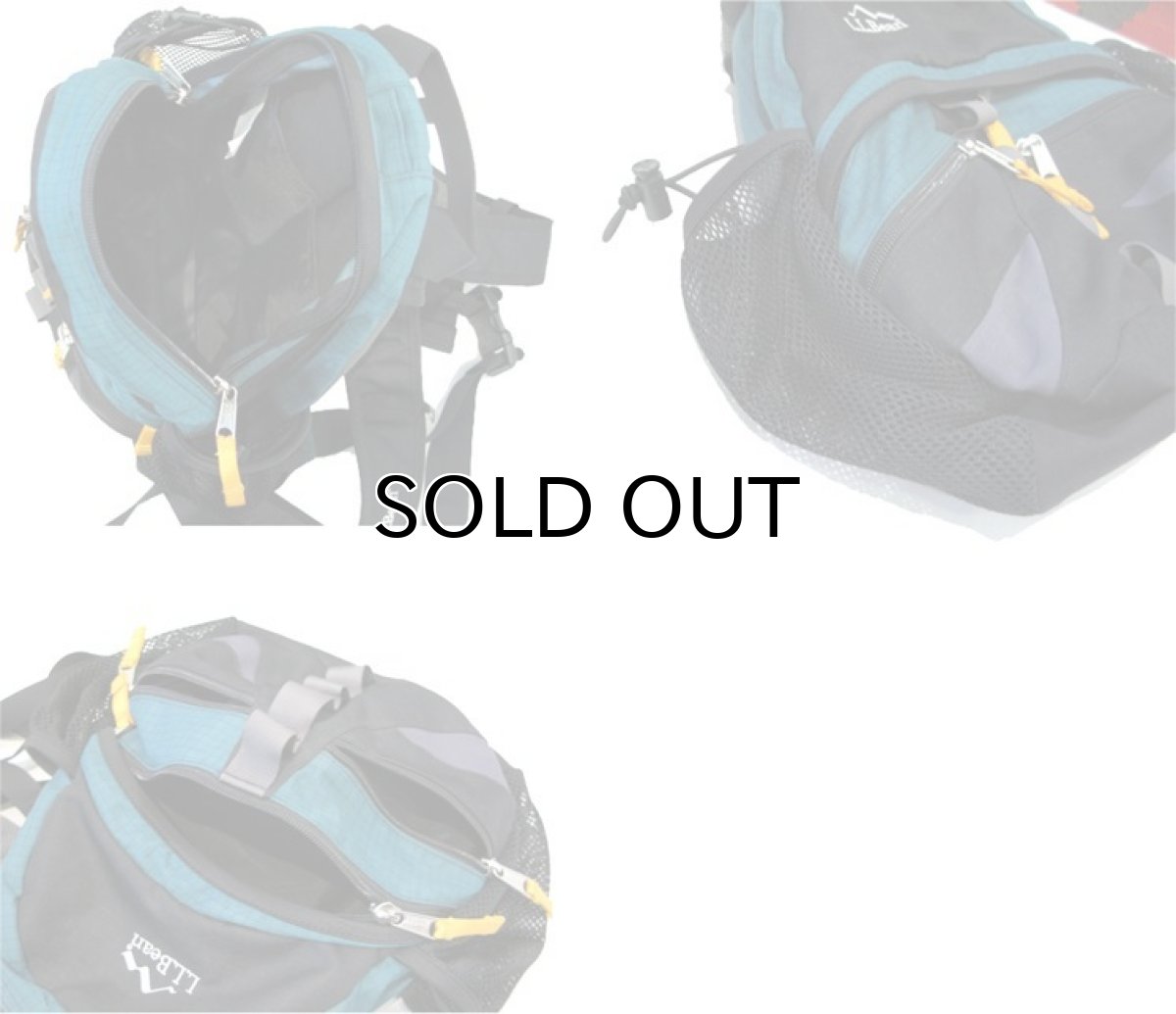 画像5: L.L.Bean Outdoor Day Pack color : Green / Black (5)