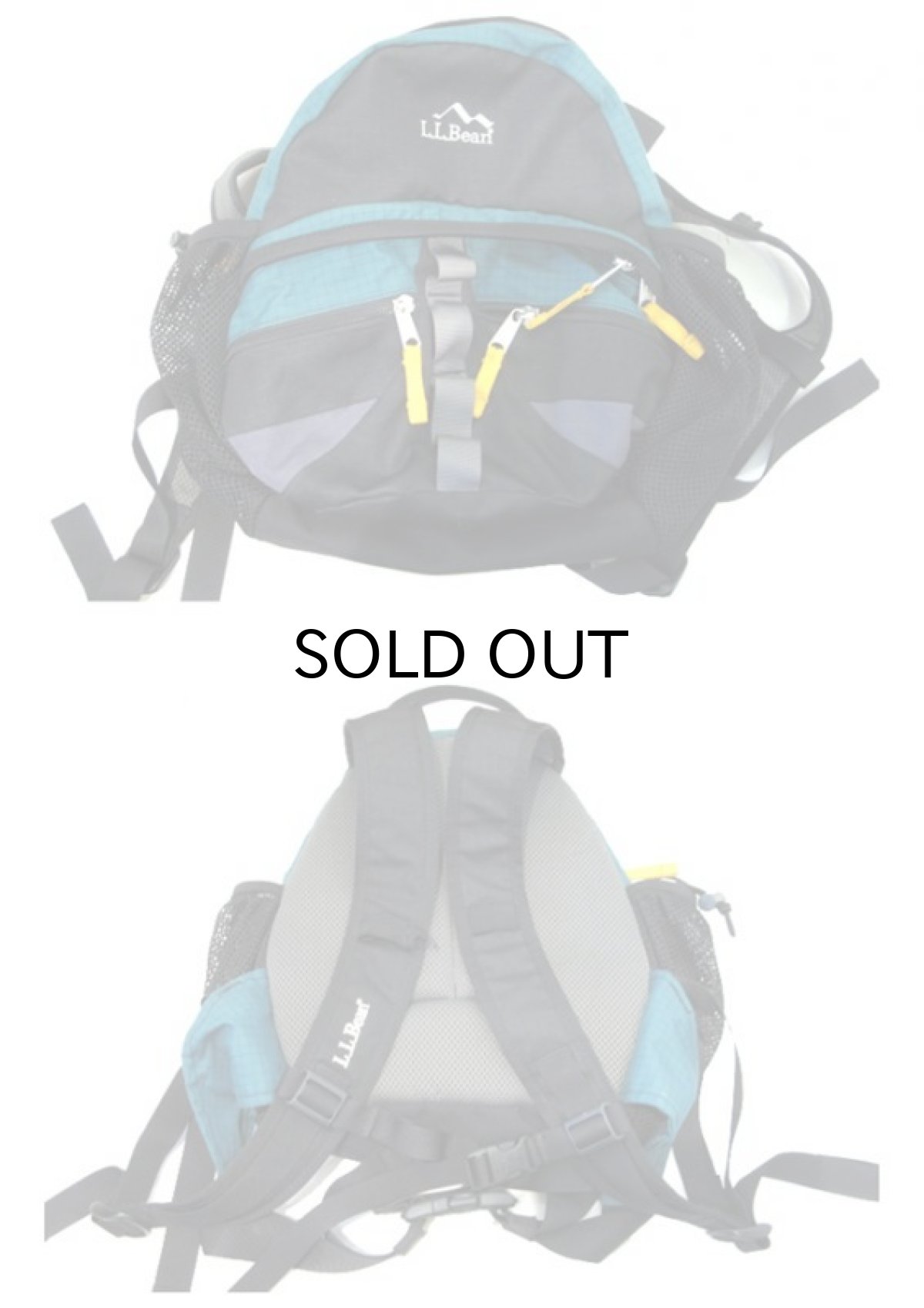 画像3: L.L.Bean Outdoor Day Pack color : Green / Black (3)