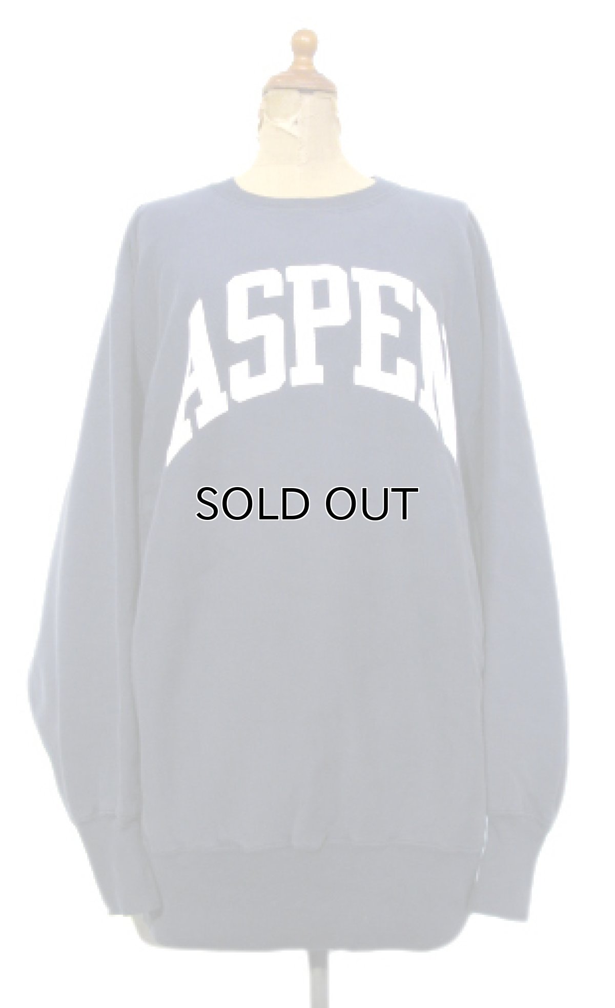 画像1: 1990's Champion Reverse Weave Sweat Shirts "ASPEN" -made in USA-　NAVY　size L (表記 XL) (1)