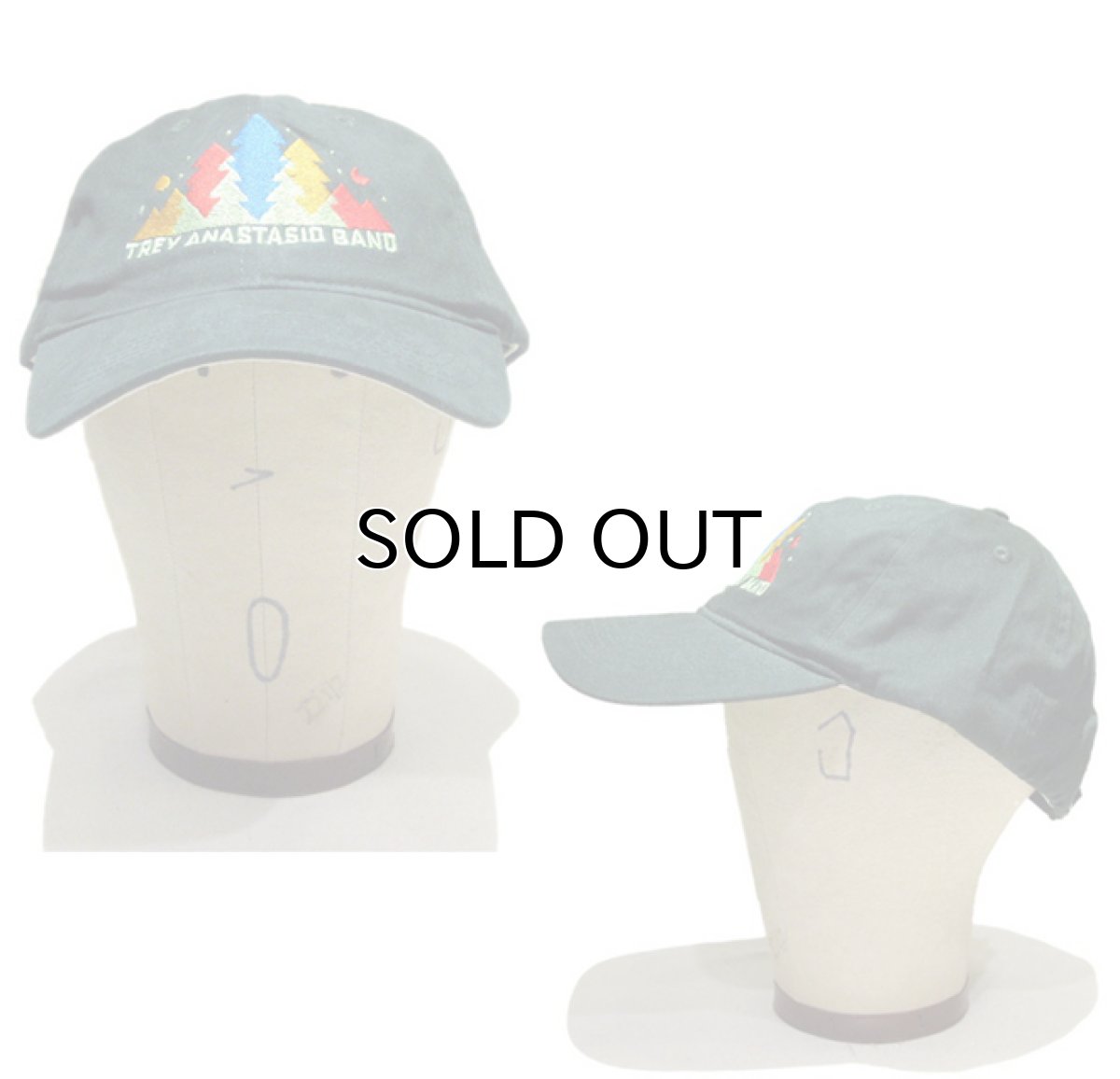 画像2: TREY ANASTASIO BAND  6-Panel Cotton Cap Green Free Size (2)