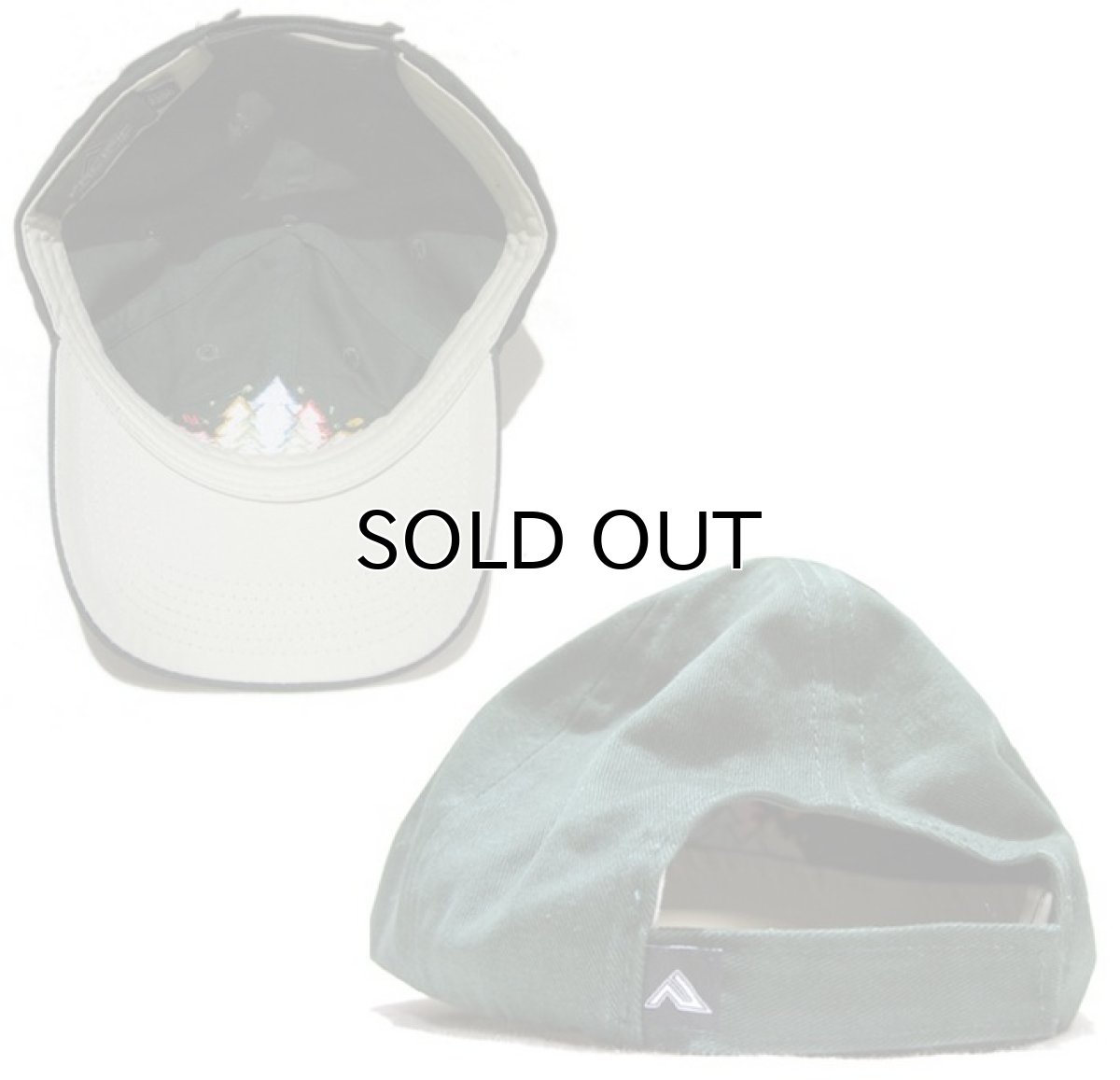 画像4: TREY ANASTASIO BAND  6-Panel Cotton Cap Green Free Size (4)