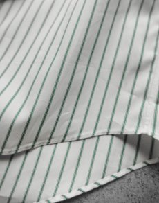 画像5: Riprap "REGULAR COLLAR SHIRT" -POPLIN STRIPE-　color WHITE/KELLY GREEN (5)