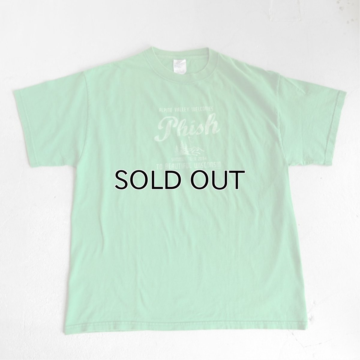 画像1: 2000's "PHISH" Tour Print T-Shirt　GREEN　size L (1)