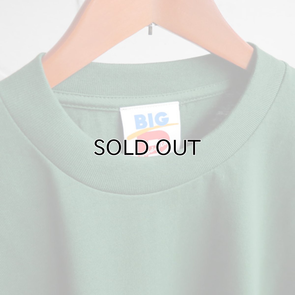 画像2: the poem "Short Length Tee"　FOREST GREEN　size ONE SIZE (2)