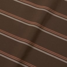 画像6: Riprap "POLO SHAPED SH S/S" -COTTON POPLIN STRIPE-　color DK BROWN/BROWN (6)